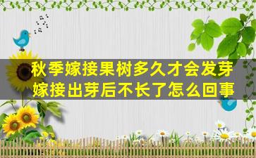 秋季嫁接果树多久才会发芽 嫁接出芽后不长了怎么回事